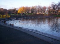 Paddy Freemans Park Paddy Freemans Park