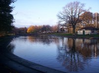 Paddy Freemans Park Paddy Freemans Park