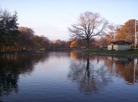 Paddy Freemans Park Paddy Freemans Park