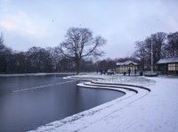Paddy Freemans Park Paddy Freemans Park