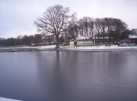 Paddy Freemans Park Paddy Freemans Park