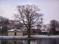 Paddy Freemans Park Paddy Freemans Park