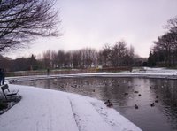 Paddy Freemans Park Paddy Freemans Park