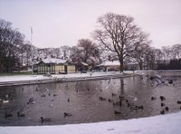 Paddy Freemans Park Paddy Freemans Park