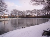 Paddy Freemans Park Paddy Freemans Park