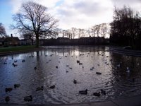 Paddy Freemans Park Paddy Freemans Park