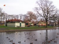 Paddy Freemans Park Paddy Freemans Park