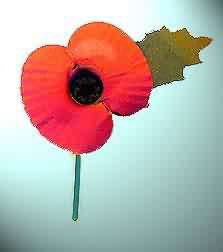 Wear your poppy with pride