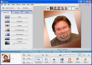 Picasa screenshot main interface