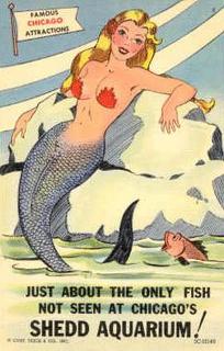Also not a Rockhopper penguin.  I KNOW you aren't gonna bitch about a vintage postcard image with a half-naked Mermaid on it!  Oh no you didn't!