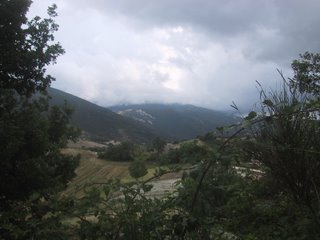 Strada tra Urbino ed Acqualagna. Settembre 2006