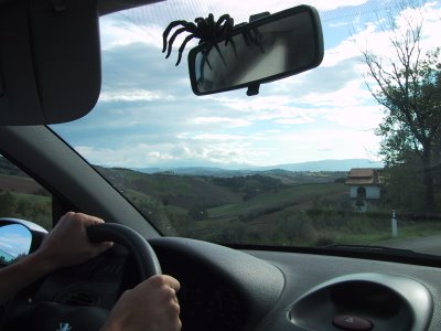 Alla guida. Estate 2005 - Campagna marchigiana