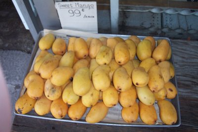 Sweet yellow mango at 99 cents each