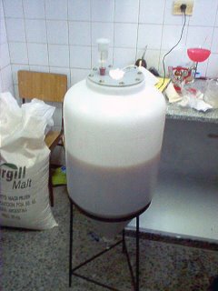 La primera fermentación en San Patricio del Chañar...