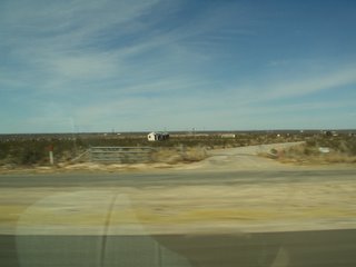 Cotton Fields