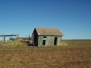 Shack