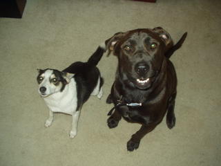 Tori & Wrigley