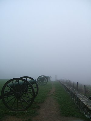 Fields in the Fog