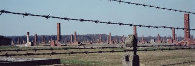 Auschwitz, WWII