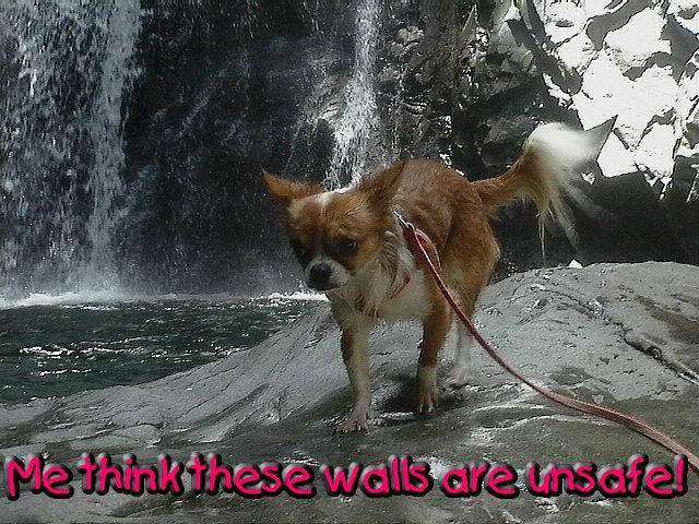 From TigerSan's PhotoBlog: Me think these walls are unsafe!
