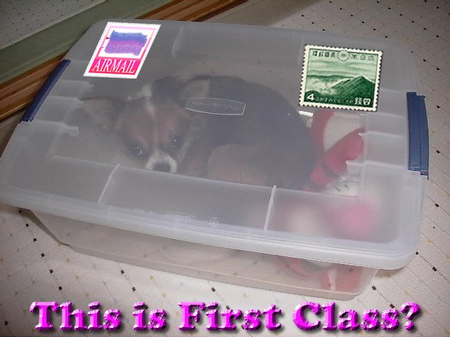 From TigerSan's PhotoBlog: This is First Class?
