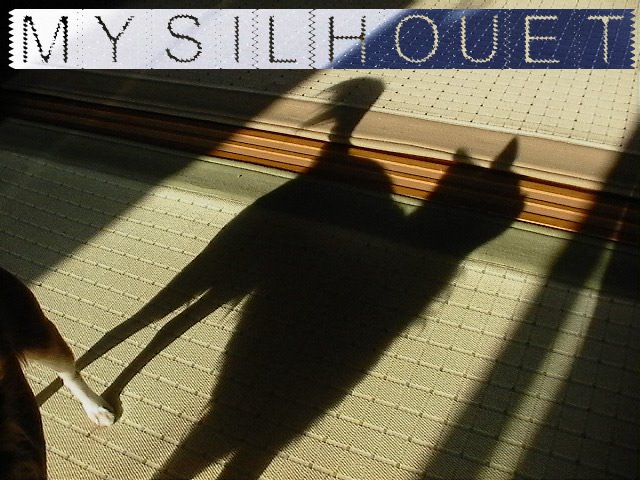 From TigerSan's PhotoBlog: My Silhouet