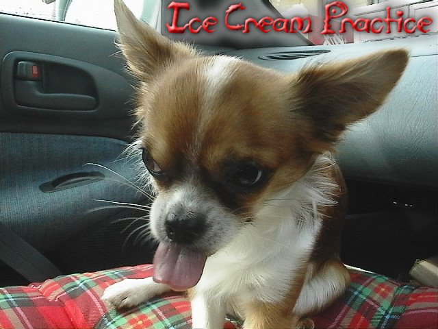 From TigerSan's PhotoBlog: Ice Cream Practice