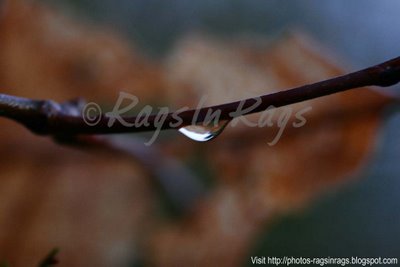 One Water Drop