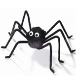 Itsy-Bitsy spider