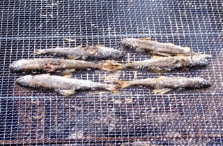 grilling sweetfish
