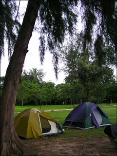 Camp Site!