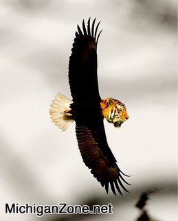 Tiger_Eagle.0.jpg