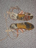 The Remains of the Shoes