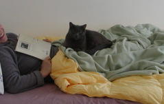 Lily and the roommate