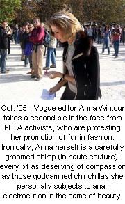 Elizabeth McQuern: Chicago Photographer and Filmmaker: Tofu Cream is the  New Black: Anna Wintour Takes a Pie to the Face