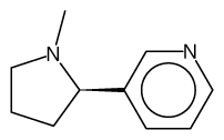 palenie