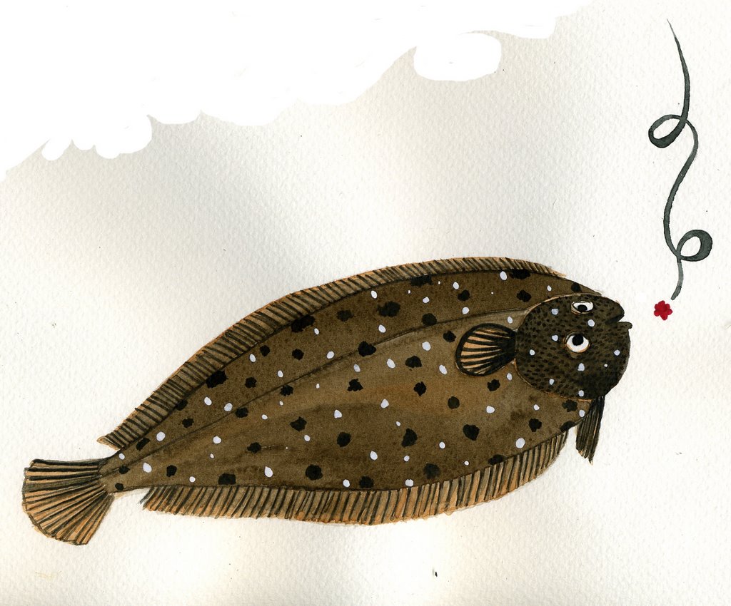 sole001.jpg