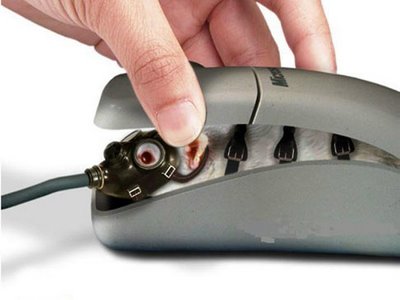 How a Microsoft Mouse Works