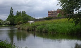 Goyt Mill and canal