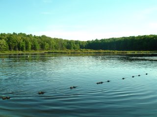 stony lake