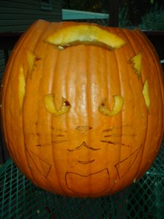 pumpkin kitty
