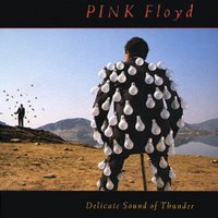 Delicate Sound of Thunder album cover. 