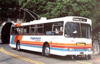 Wellington trolley bus