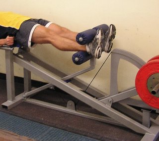 basic mechanism of the HipneeFlex hip and knee flexor strength developer showing QuadTorq mechanism and foot engagement device