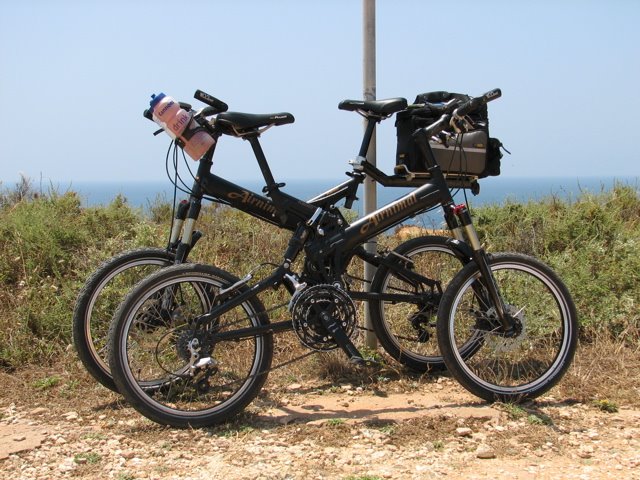airnimal bikes