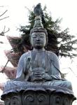 image of the Buddha