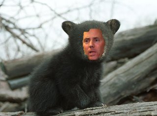 it's bear season