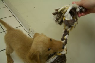 Chuy loves playing with his rope