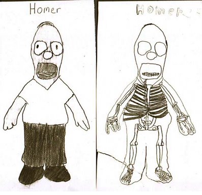 Eyeteeth: Incisive ideas: Cartoon bones inspire class project
