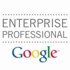 Google Enterprise Professionalと書いてある画像。